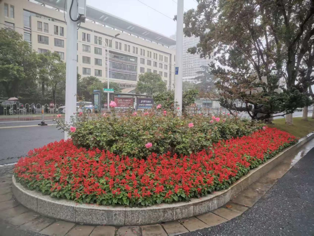 微信图片_20251009100414.png