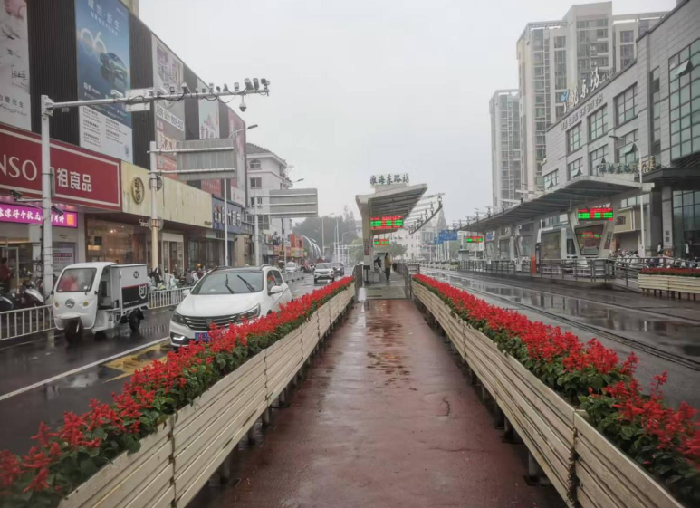 喜迎国庆 市住建园林部门启动草花换新工作